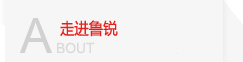 魯銳業(yè)績(jì)